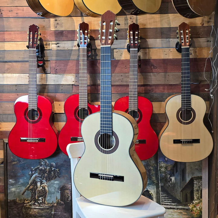 Guitarra Flamenca / Clásica de iniciación Vicente Tatay C320.301F